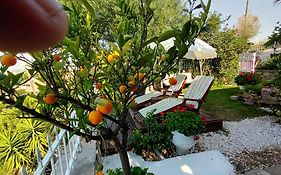 Nikos Stone House 80M From The Beach With Wifi
